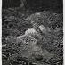 AncientMariner AncientMariner