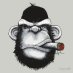 David the deplorable V1.9 David the deplorable V1.9