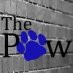 Alexander paw-author Alexander paw-author