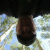 Steve Gress Steve Gress