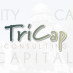 TriCap Consulting TriCap Consulting
