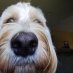 Profile Photo.