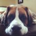 Profile Photo.