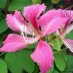 Marion Yuen Marion Yuen
