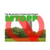 Mtopp