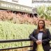 Bree L. Davis Bree L. Davis