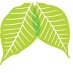 Lung Cancer Canada Lung Cancer Canada