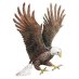 Tc Record-Eagle Tc Record-Eagle