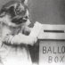 Voting Cats Voting Cats