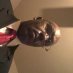 Terrence Carter Terrence Carter