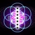 Gravity Dynamic Gravity Dynamic