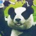 The Panda The Panda