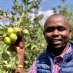 Mr. Agriculture Ke Mr. Agriculture Ke
