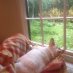 Big Chill Lc Big Chill Lc