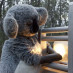 Blinky Bill Blinky Bill