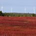 MA_CleanElectricity MA_CleanElectricity