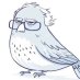Grumpy Birdie Sanders Grumpy Birdie Sanders