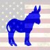 Millennial Democrats Millennial Democrats