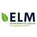 Elm Elm