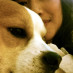 Trang Wisard Trang Wisard