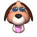 Profile image for 🇦🇷Animalitos🐶976mil