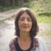 Judith Humphreys Judith Humphreys