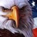Conservative Daily Show Conservative Daily Show