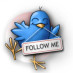 Follow Me Follow Me
