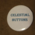 Celeste Leibowitz Celeste Leibowitz