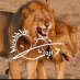 آسہتہعہمہآر… آسہتہعہمہآر…