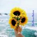 The Flower Nature The Flower Nature