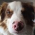 Profile Photo.