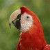 Profile Photo.