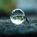 Amazing Nature Amazing Nature