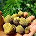 saintjohnganja saintjohnganja
