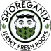 Jersey Shore Cannabis Innovation Jersey Shore Cannabis Innovation
