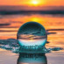 Amazing Nature Amazing Nature