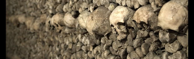 Catacombes Skulls and Bones