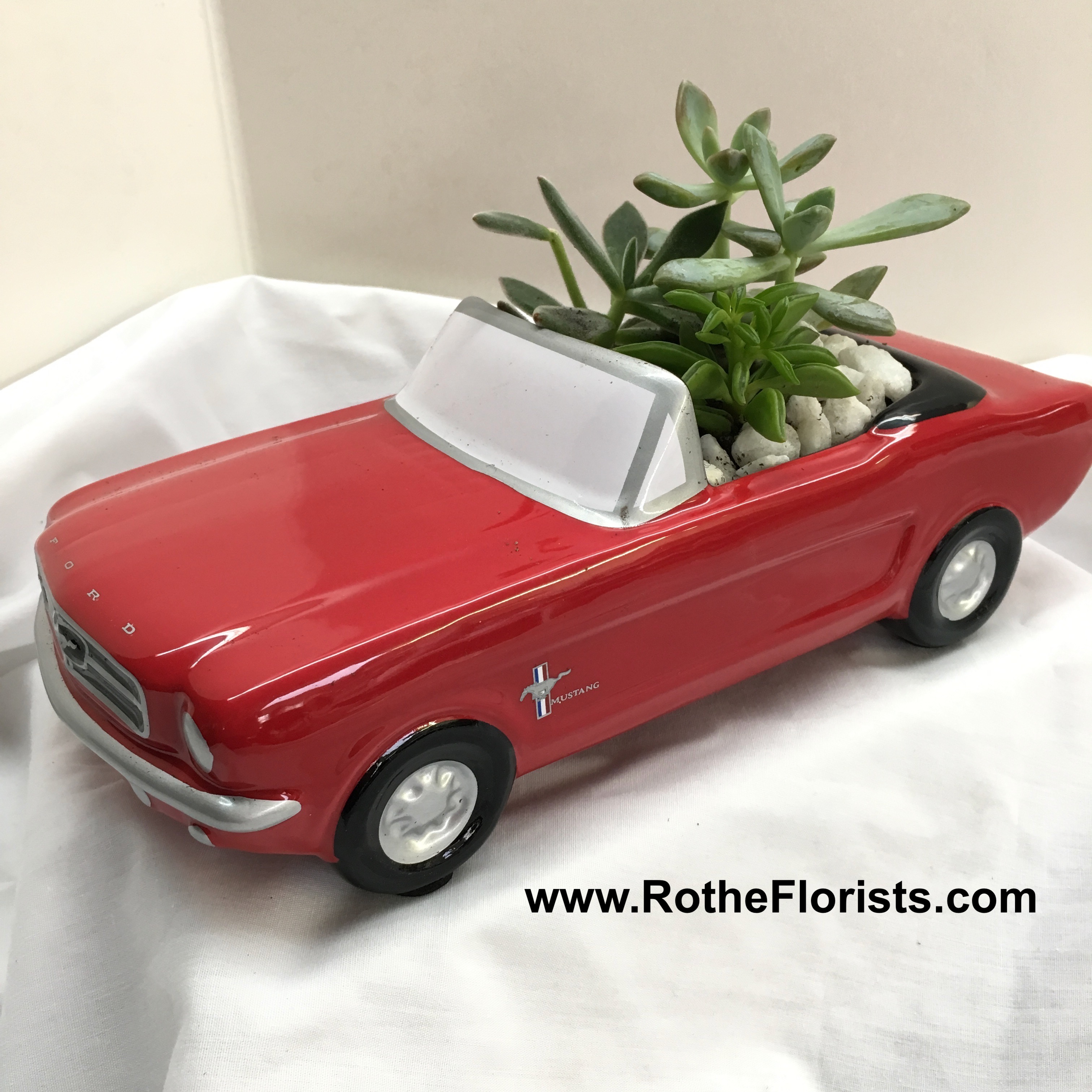 65 Ford Mustang >> 65 Ford Mustang With Succulents 65 Ford Mustang >> 65 Ford Mustang With Succulents
