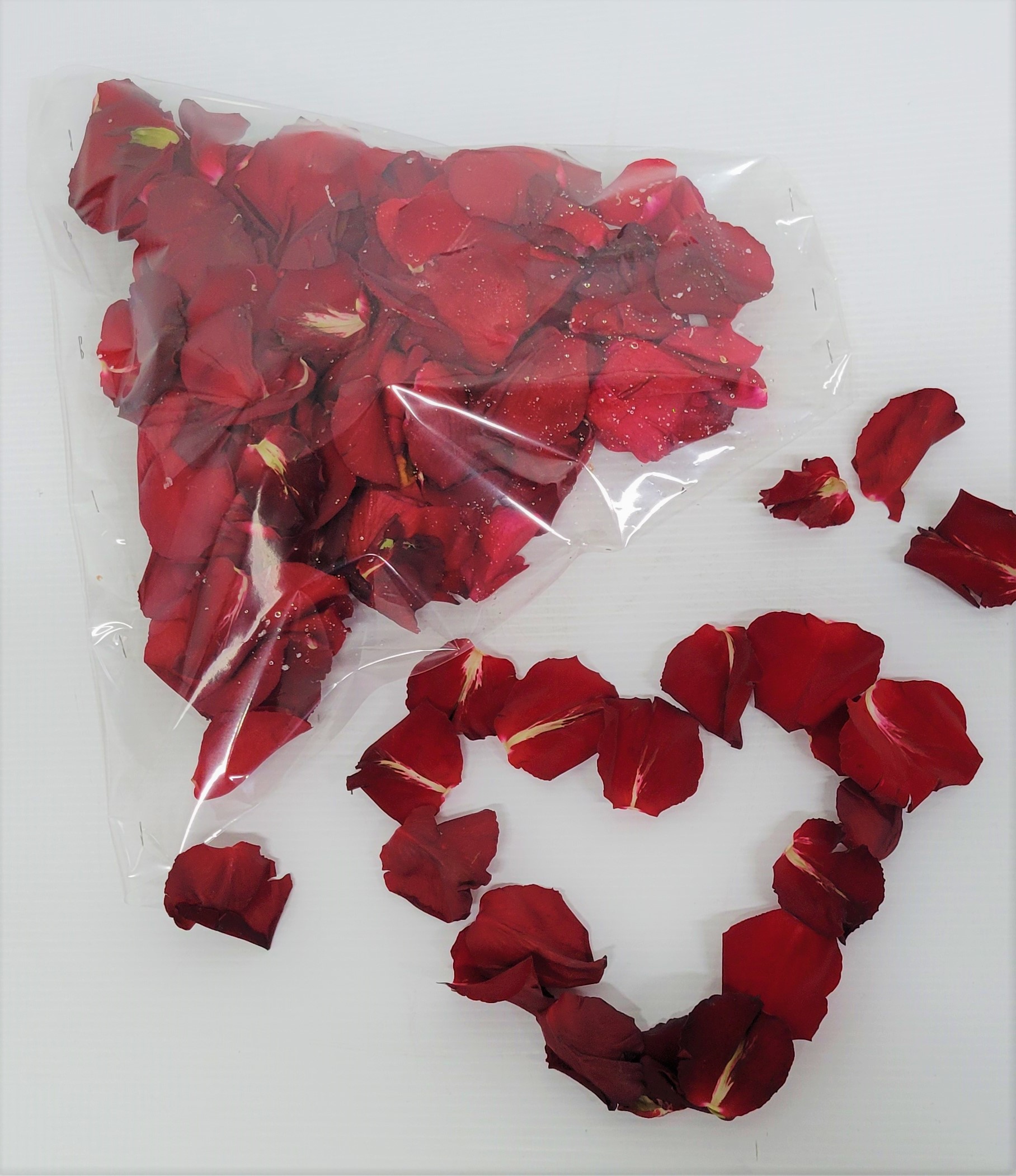 Rose petals in Miami Beach, FL