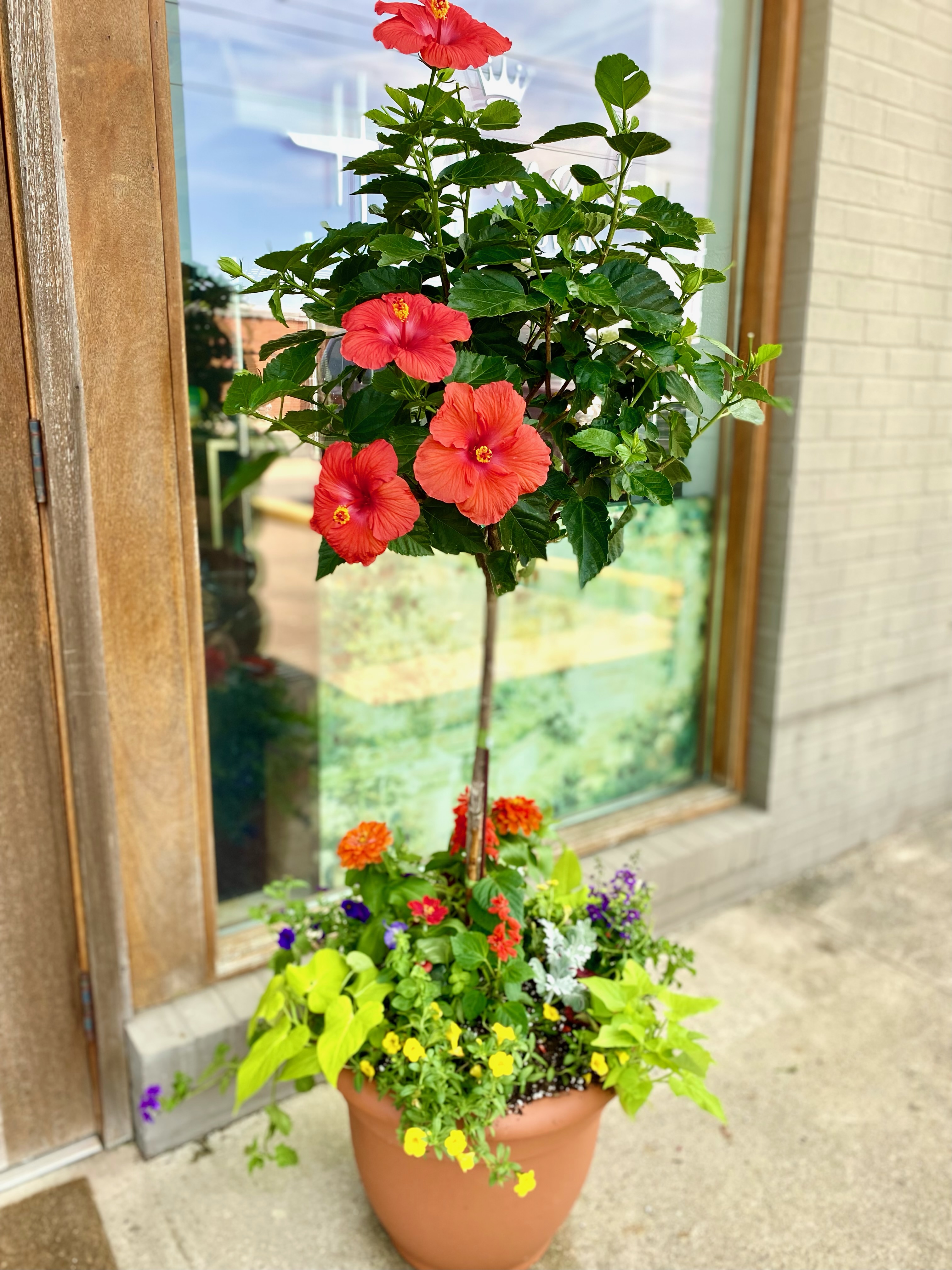 Send Hibiscus Topiary Planter in El Dorado, South Arkansas, AR