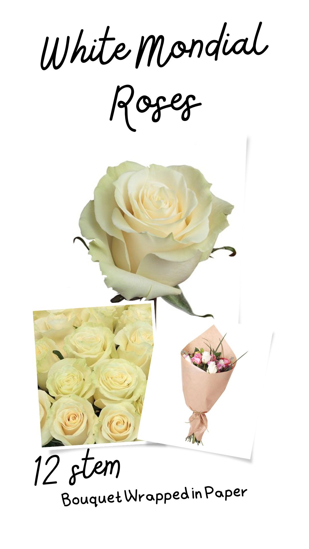 White Roses Meaning, Symbolism, And Proper Occasions AZ