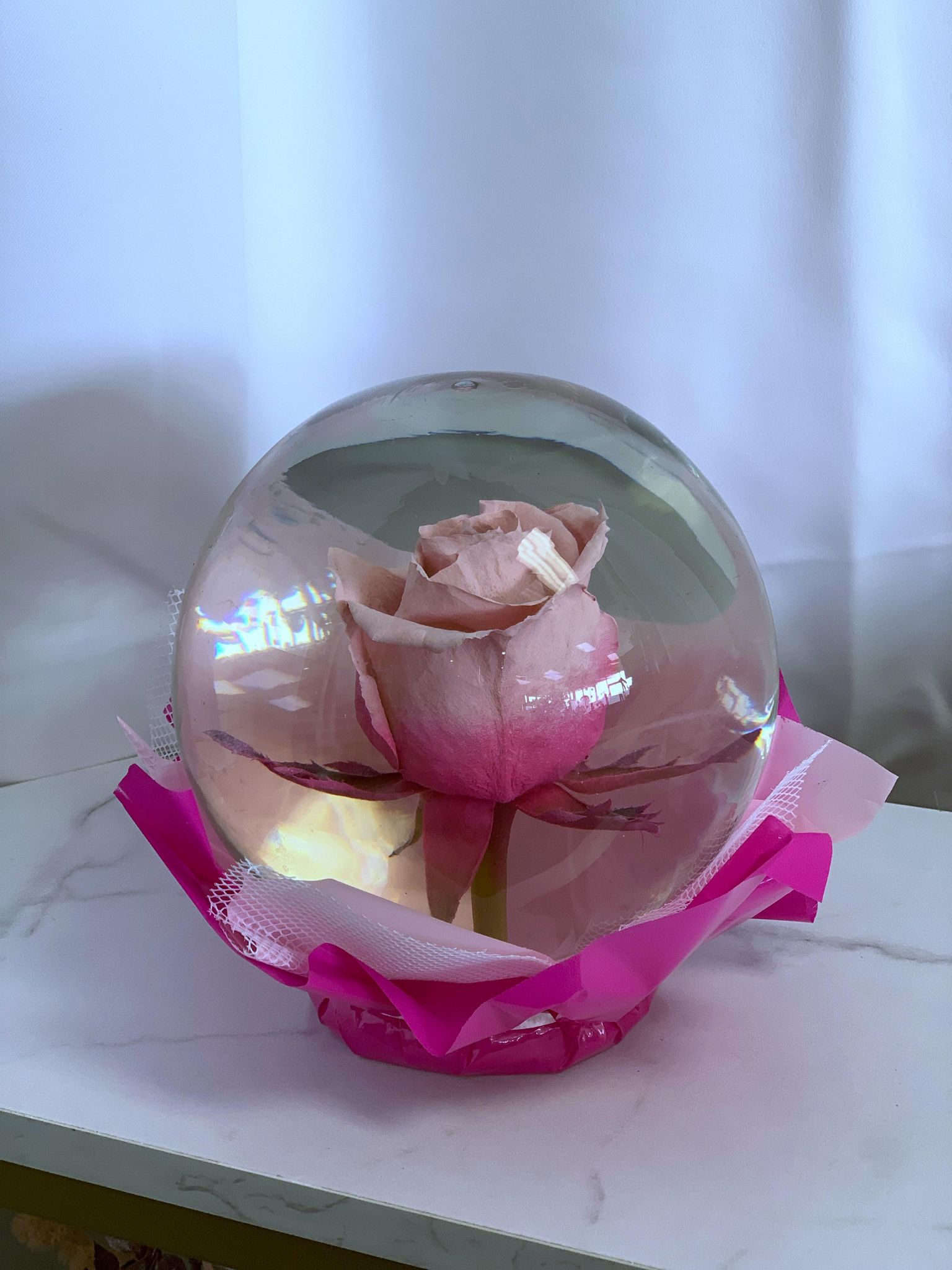 Send Rose Globe (Round) - Hot Pink in Vanier, Oshawa, ON - Roma James Gifts, image size:1536x2048