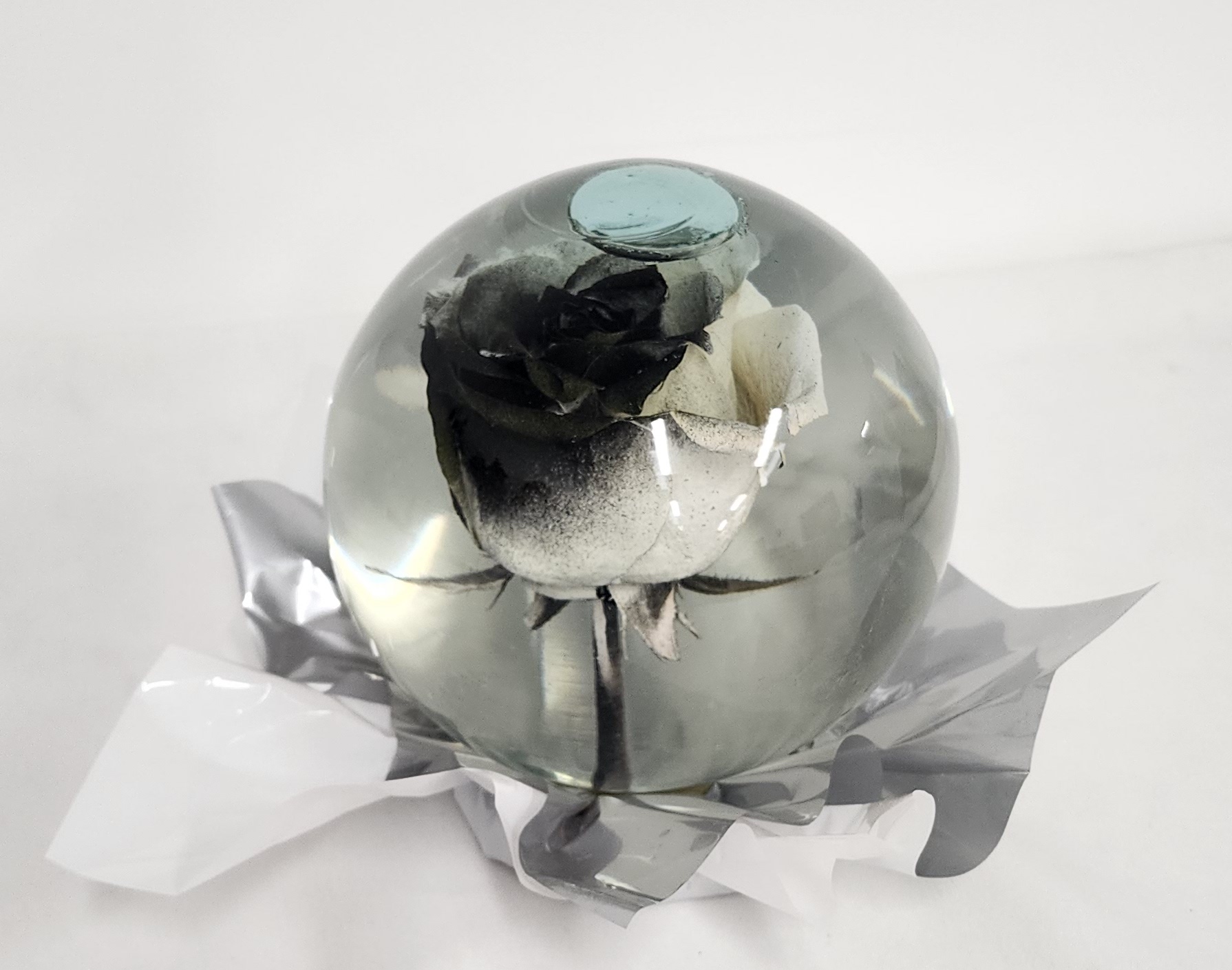 Send Black and White Rose in Globe in Jacksonville, FL - Flowers of  Jacksonville, image size:1790x1409