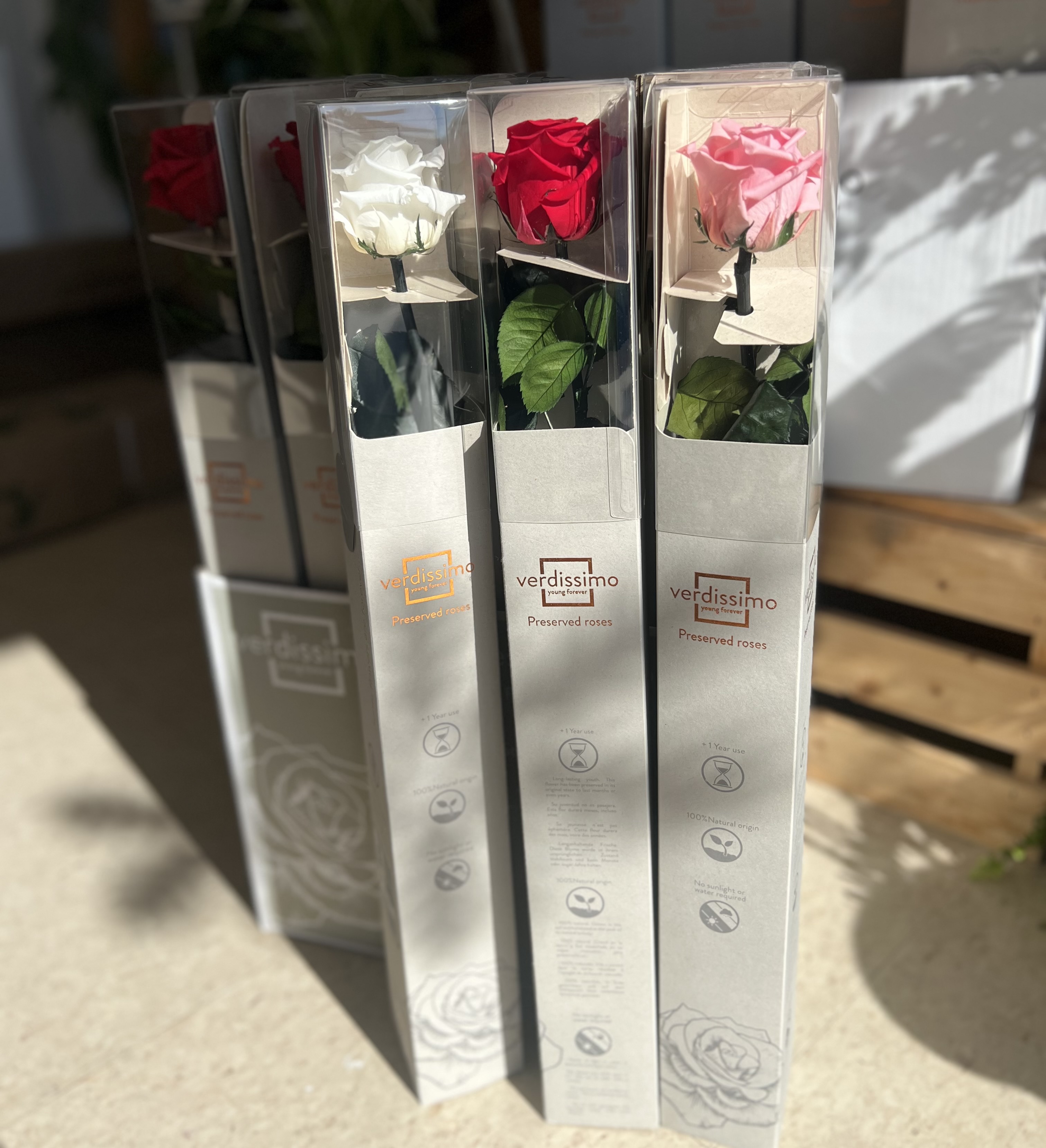 Send Forever Rose in Halifax, NS - Flower Trends Florists