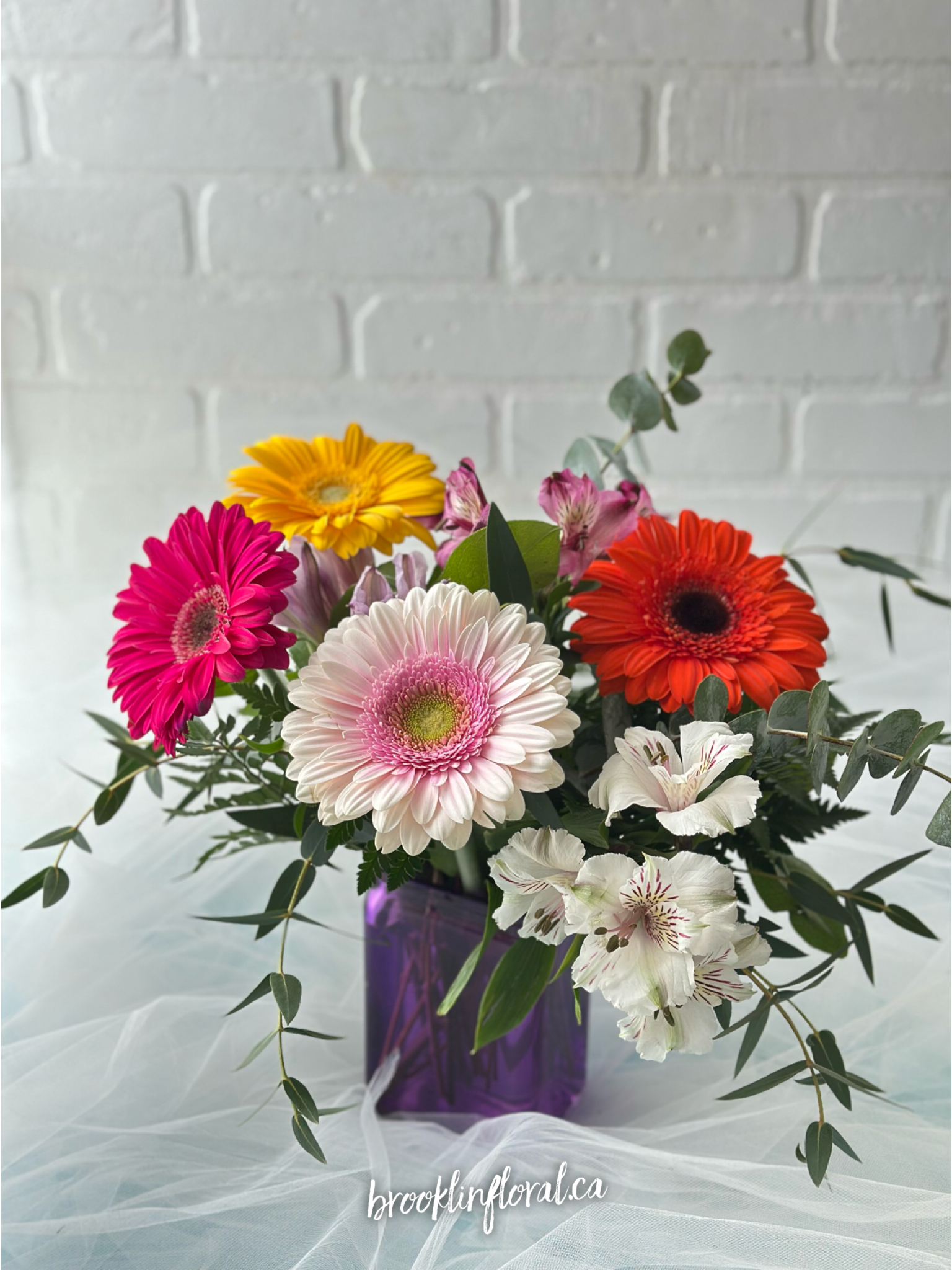 Send Wild Gerbera Meadow in Whitby, ON - Brooklin Floral & Garden