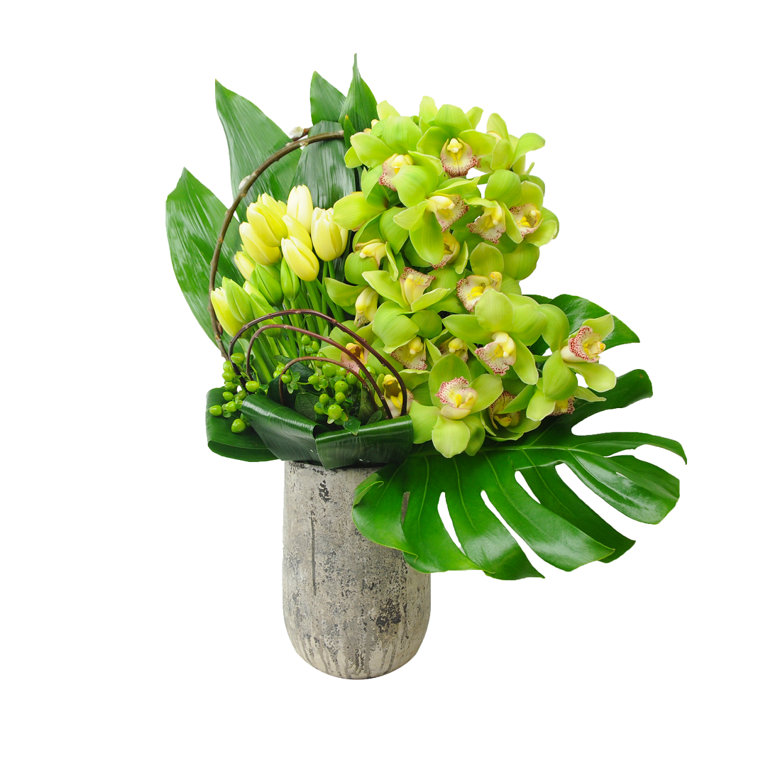 Rainforest Flowers Llc Best Flower Site