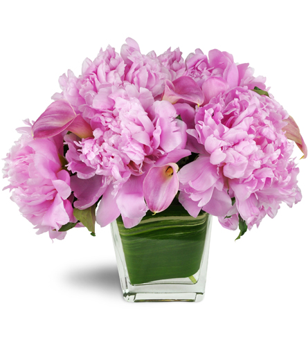 Pinkest Passion™ - Aurora, IL Florist