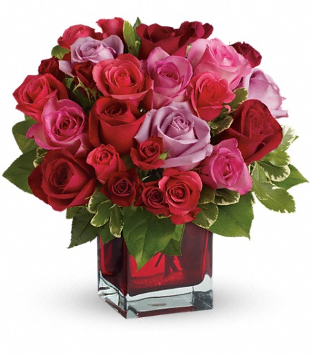 Love and Devotion - Long Stemmed Red Roses