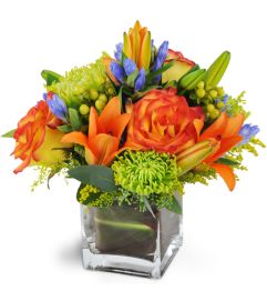 Kitchener ON Florist - FREE Flower Delivery in Kitchener ...
